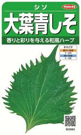 国内一律（離島含む）送料無料サカタのタネ 実咲「シソ」大葉青しそ10袋￥2350　（923-084）10袋の粒数目安　約15000粒春まき　1月～6月まで販売です。♪♪・・・香り高い大葉が収穫できます。さまざまな料理に活躍します。