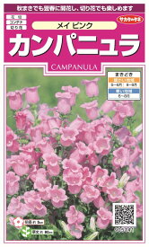 楽天市場 カンパニュラ苗の通販