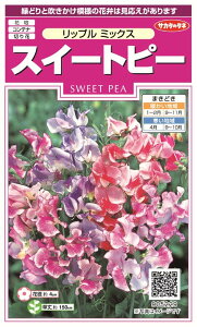 ꗥi܂ށjTJ^̃^l XC[gs[ bv~bNX10܁3350@10܂̍̕c{ 135{t܂EH܂