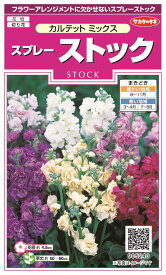楽天市場 ストック 苗の通販
