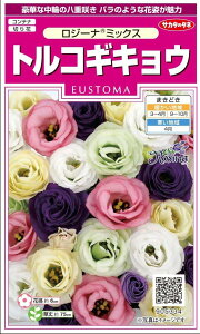 ꗥi܂ށjTJ^̃^l gRMLE W[i~bNX10܁3350@10܂̍̕c{ 320{t܂EH܂