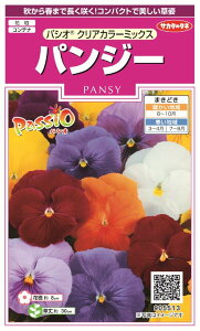 ꗥi܂ށjTJ^̃^l pW[ pVINAJ[~bNX10܁3350@10܂̍̕c{ 300{t܂EH܂