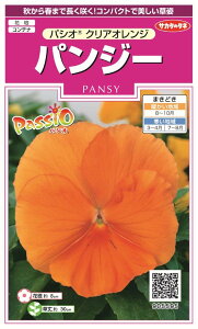 ꗥi܂ށjTJ^̃^l pW[ pVINAIW10܁3350@10܂̍̕c{ 300{t܂EH܂