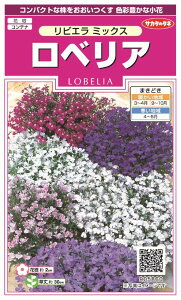 苗 ロベリアの人気商品 通販 価格比較 価格 Com