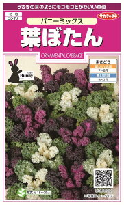 ꗥi܂ށjTJ^̃^l tڂ oj[~bNX؉ԗp10܁3350@10܂̍̕c{ 250{@t܂EH܂