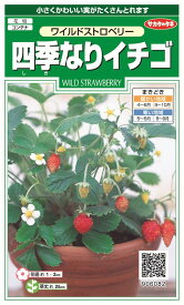 楽天市場 イチゴ 苗 四季なりの通販