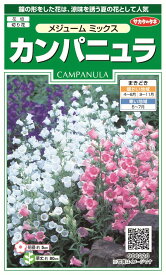 楽天市場 カンパニュラ 苗の通販
