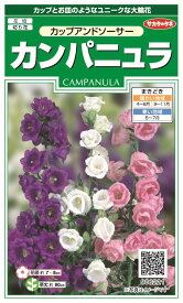 楽天市場 カンパニュラ苗の通販 楽天市場 カンパニュラ苗の通販