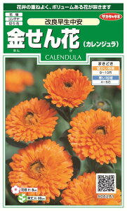 ꗥi܂ށjTJ^̃^l  JW Ǒ10܁2350@10܂̗ڈ@500t܂