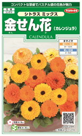 楽天市場 カレンジュラ 苗の通販