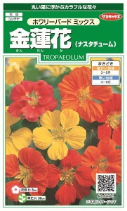 ꗥi܂ށjTJ^̃^l @ iX^`[ z[o[h~bNX10܁2350@10܂̗ڈ@150t܂