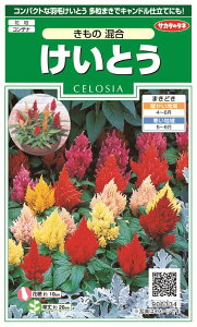 ꗥi܂ށjTJ^̃^l 炯Ƃ ̍10܁2350@10܂1430t܂