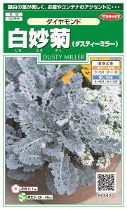 ꗥi܂ށjTJ^̃^l 甒ei_XeB[~[j _Ch10܁2350@10܂̍̕c{ 2000{t܂EH܂