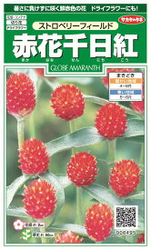 楽天市場 ストロベリーフィールド 花の通販 楽天市場 ストロベリーフィールド 花の通販
