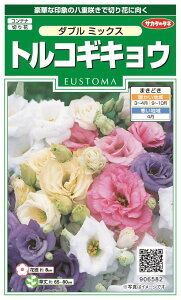 ꗥi܂ށjTJ^̃^l gRMLE _u~bNX10܁2350@10܂̍̕c{ 380{t܂EH܂