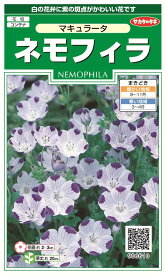 楽天市場 ネモフィラ 苗の通販