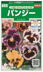 楽天市場 パンジー 苗の通販
