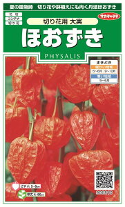 ほおずき 種の人気商品 通販 価格比較 価格 Com ほおずき 種の人気商品 通販 価格比較 価格 Com