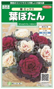 ꗥi܂ށjTJ^̃^l tڂ ؃~bNX10܁2350@10܂̍̕c{ 3600{t܂EH܂