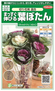 ꗥi܂ށjTJ^̃^l ܂Lтtڂ ؂ԍ10܁2350@10܂̗ڈ@270t܂