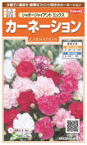 ꗥi܂ށjTJ^̃^l J[l[V V{[WCAg~bNX101850@ 10܂̍̕c{@500{t܂EH܂