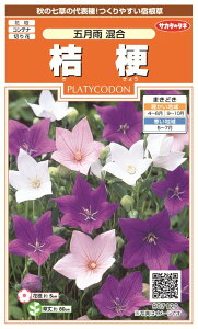 ꗥi܂ށjTJ^̃^l j[ ܌J10܁1850@10܂̍̕c{ 1500{t܂EH܂