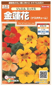 ꗥi܂ށjTJ^̃^l @ iiX^`[jWGb~bNX10܁1850@10܂̗ڈ@150t܂