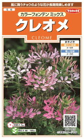 楽天市場 クレオメ 花 ガーデン Diy の通販 楽天市場 クレオメ 花 ガーデン Diy の通販