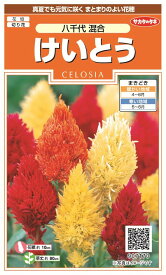 国内一律（離島含む）送料無料サカタのタネ 実咲けいとう 八千代混合10袋￥1850　10袋からの粒数目安　約1860粒春まき