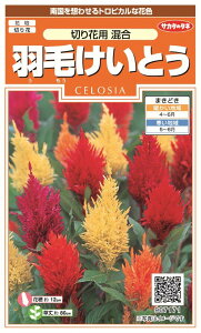 ꗥi܂ށjTJ^̃^l HтƂ ؂ԗp 10܁1850@10܂̍̕c{ 1380{t܂