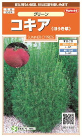 楽天市場 コキア 苗の通販
