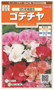 種 切り花 種の人気商品 通販 価格比較 価格 Com