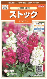 国内一律（離島含む）送料無料サカタのタネ 実咲ストック 分枝系 混合10袋￥1850　10袋からの採苗本数 約200本春まき・秋まき