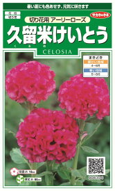 楽天市場 けいとう 種 久留米の通販