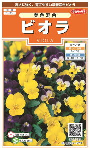 ꗥi܂ށjTJ^̃^l rI F 10܁2600@10܂̗ڈ600H܂@i907-525j