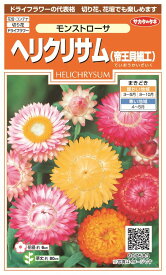 楽天市場 貝細工 苗の通販