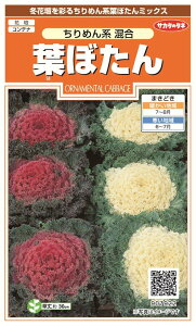 ꗥi܂ށjTJ^̃^l tڂ ߂n 10܁1850@10܂̍̕c{@250{t܂EH܂