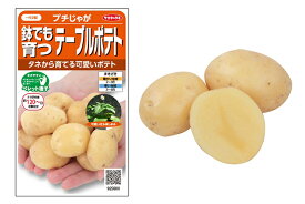 【有効期限切れ】2袋で1袋の価格鉢でも育つ「テーブルポテト」2袋のセットタネから育てる可愛いポテトタネまき後約120～日、収穫目安。2袋の粒数ペレット種子10粒入り国内では珍しい「タネから作れるジャガイモ」ぜひ挑戦してみませんか・・・