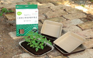 TJ^EWtB[is[go 3Zbg@łӂރ^l܂̓y^l܂pI s[go@TCY18x13x0.7cm ^lps[gpbge5F{BElBn