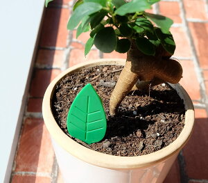 RoGŔS܁y킢RoGގꗥ4@S܃^Cve헠ʂɖڗ܂BEEEʓrēp4x3gZbg܂Byz