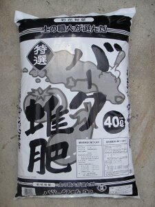 yǎޓI o[N͔40L  F{BElEBn