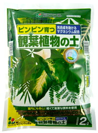 国内送料無料 観葉植物の土 2L 1袋　ピンピン育つご注意ください。2L袋、他の商品と同梱はできません。