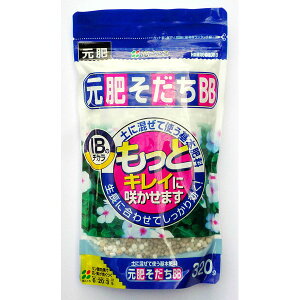 2ނIB엿 ʁI^Cv@x^Cv삻BB 320g yǓyɍĎg{엿ɍ킹ĂIIIB̃`J@ƃLCɍ炩܂B