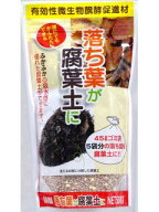 落ち葉が腐葉土に　500g国内一律 送料無料