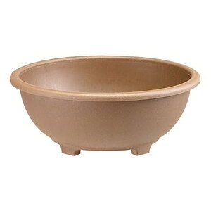 v^[V[Y ecoEC{[ 36^ 36xh14e8LiuEJ[ 10Zbg) v^[  ꂢȔ6Lx6܂œyzyZbgz