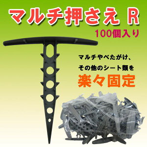 yzyhV[gE}`ށz}`@RiO[j@150 20܂܂œ@{BEBEl@880150ɕύX܂