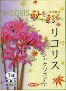 EERX@WN\jAiZ4Zbg@HʂЂ΂ȑF50`60cmׂ܂BBEEE