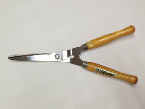 y|pizyށEpzXeX@B1439 (0520)