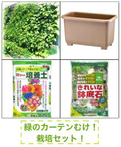 緑のカーテン向け栽培セット内容 培養土 25Lx3袋 鉢底石 5Lx2袋 角深55型 プランター グリーン 3個 ネット0.8x3m1個 おしゃれ プレゼント 送料無料 北海道・沖縄別途要