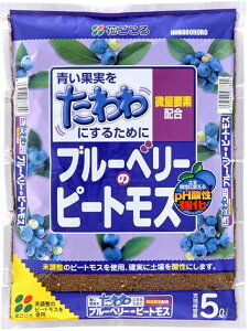 u[x[̃s[gX 5L | y y 880F{BElEBn5`12LpyAe荇킹8܂܂œ\